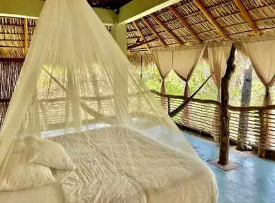Cama o camas de una habitación en La casa de los árboles frente a la playa con alberca