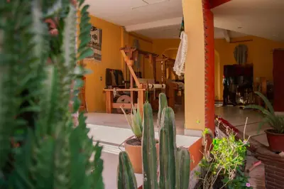 Jardín al aire libre en La Cupula B&B Teotitlan
