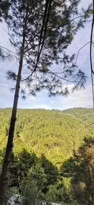 Paisaje cerca de este apartamento