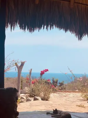 Paisaje cerca de este lodge
