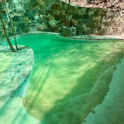 Habitaciones en casa De los árboles en la playa con alberca