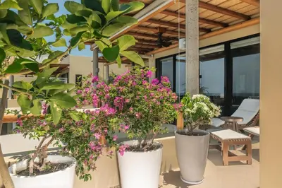 Jardín al aire libre en Luxury condo with ocean view & beach access