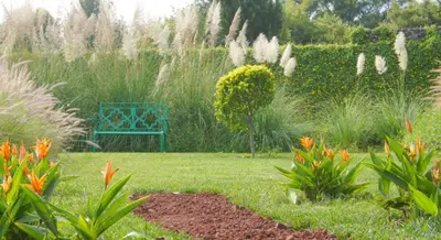 Jardín al aire libre en Quinta GYO
