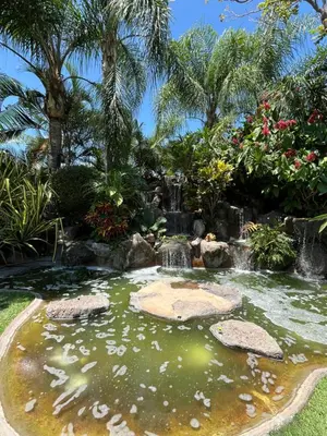 Jardín al aire libre en Hotel boutique LA FLOR
