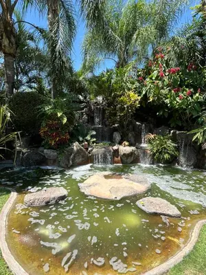 Jardín al aire libre en Hotel boutique LA FLOR