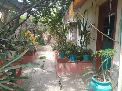 Jardín al aire libre en casa los patos