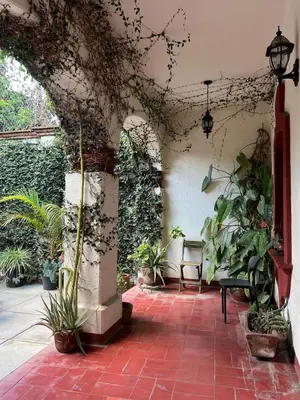 Jardín al aire libre en Big Garden, Big Patio in Centro - CASA311