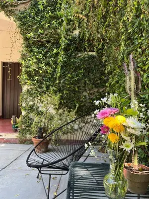 Jardín al aire libre en Big Garden, Big Patio in Centro - CASA311