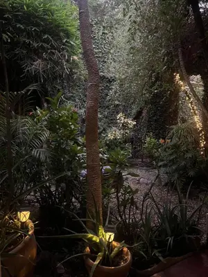 Jardín al aire libre en Big Garden, Big Patio in Centro - CASA311