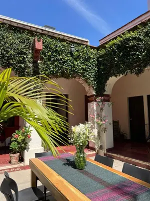 Jardín al aire libre en Big Garden, Big Patio in Centro - CASA311