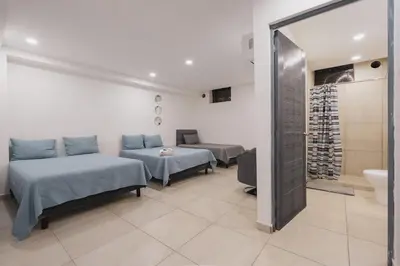 Plano de Casa Ferlioni