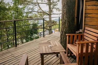 Un balcón o terraza de Rocabosque