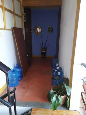 Zona de estar de Departamento en el centro de Oaxaca