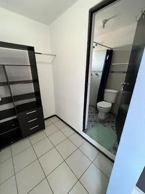 Un baño de Don Tuga