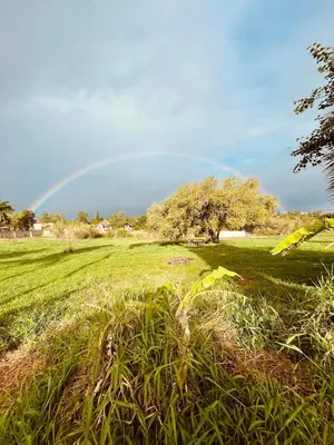 Paisaje cerca de este apartamento
