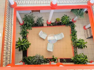 Jardín al aire libre en Habitación en el centro de Xalapa