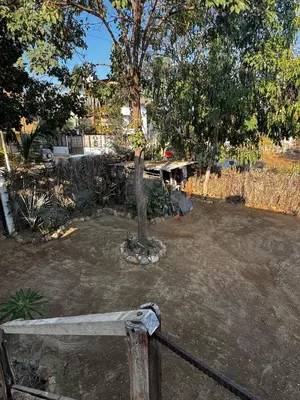 Jardín al aire libre en Casa Luna