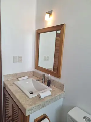 Un baño de Tortugas dos cero uno