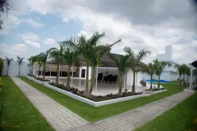 Piscina en o cerca de Glamping Majagua
