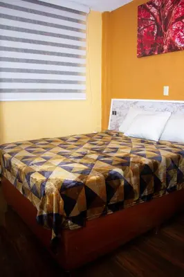 Cama o camas de una habitación en Hotel Diamantes Orizaba Boutique
