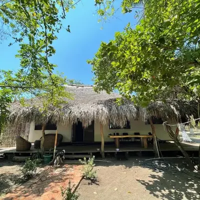 Bokané