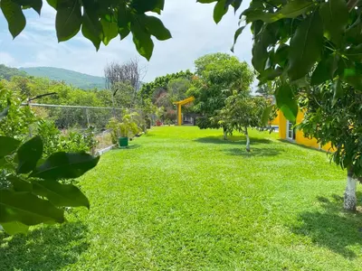 Jardín al aire libre en 