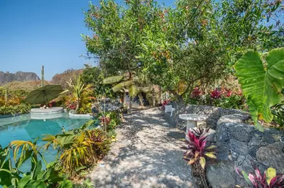 Piscina en o cerca de Bosque Geométrico