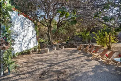 Jardín al aire libre en Bosque Geométrico