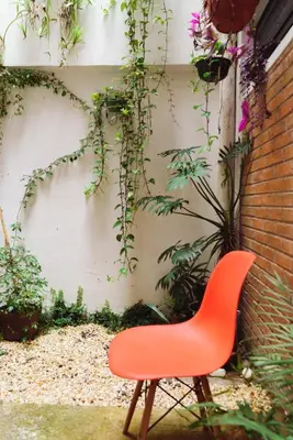 Jardín al aire libre en Beatiful apartment in the magical town of Orizaba