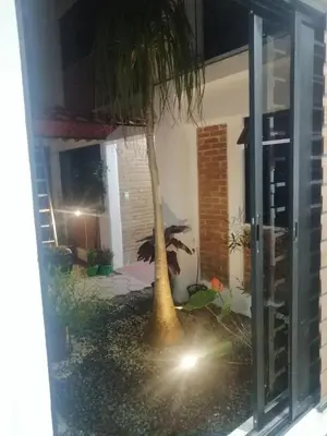 Jardín al aire libre en Beautiful apartment in Orizaba