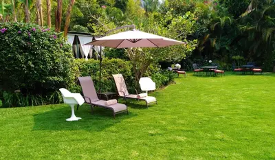 Jardín al aire libre en Areté