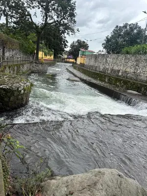 Paisaje cerca de este apartamento