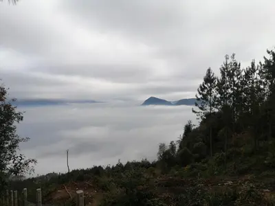 Paisaje cerca de este apartamento