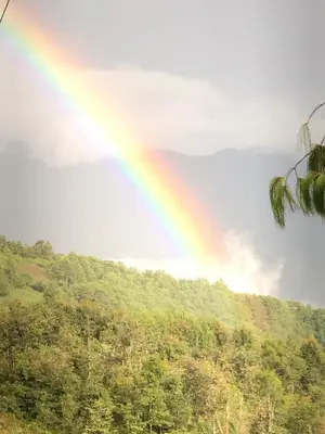 Paisaje cerca de este apartamento