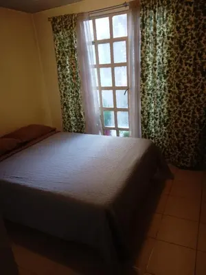 Cama o camas de una habitación en Departamento E-5 metro Copilco UNAM Coyoacan