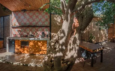 Un restaurante o sitio para comer en Casa Mango