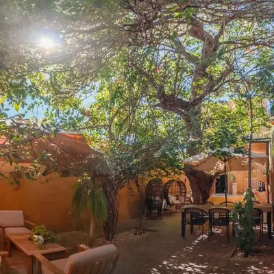 Casa Mango