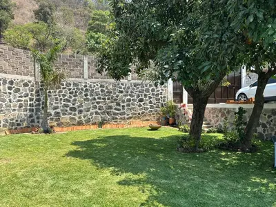 Jardín al aire libre en Casa Palmer, con gran jardín