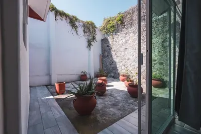Jardín al aire libre en Gran casa con alberca climatizada jacuzzi y asador