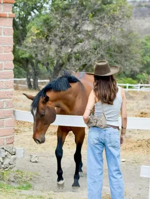 Animales en el hotel o alrededores