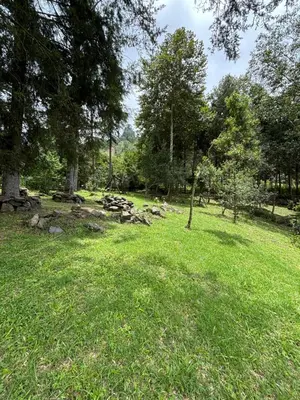 Paisaje cerca of this country house