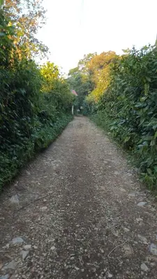 Paisaje cerca de este hotel