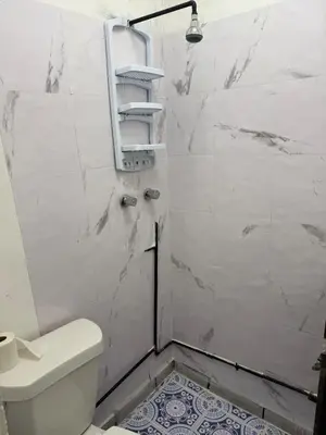 Un baño de Mini Departmento