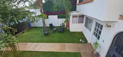 Jardín al aire libre en Moshitos room