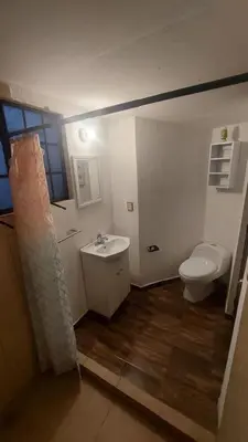 Un baño de Moshitos room