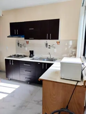 Una cocina o zona de cocina en Spacious and private apartment