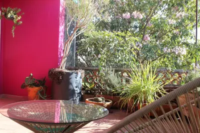 Jardín al aire libre en Casa Benelaa