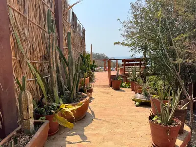 Jardín al aire libre en Garden-Ocean view Casa Xochi
