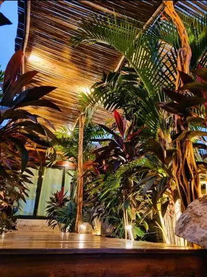 Jardín al aire libre en Loft Suite Altitude Cabin