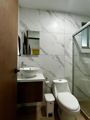 Un baño de Estadio GNP, Palacio de los Deportes, AICM